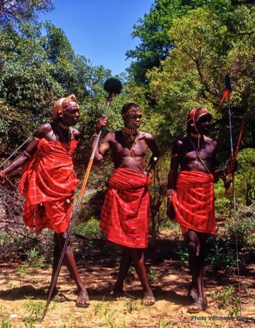 Moranes samburus au Kenya