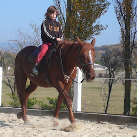 À cheval à travers les Pyrénées espagnoles