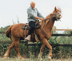 Le cheval rebelle résiste d’abord avec sa tête