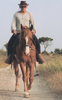 Le cheval s’en remet à vous pour gérer ses inquiétudes