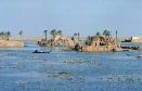 Irak - Pays des marais - Paysage de fermes de roseau