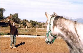 Équitation comportementale, signal d'appel